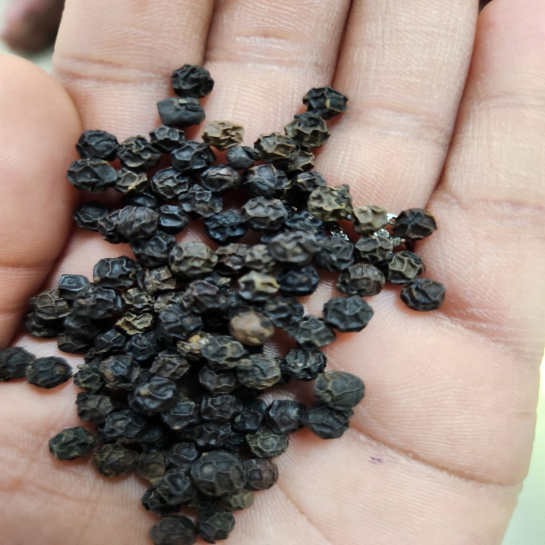 Black Pepper